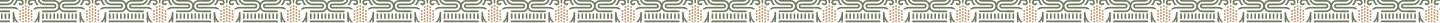 Pleca decorativa